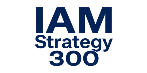 IAM Strategy 300